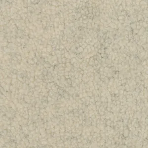 Sherpa - Fur Oatmeal 60" Minky Yardage